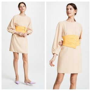 NEW Tibi Shirred Sleeve Corset Waist Shift Dress